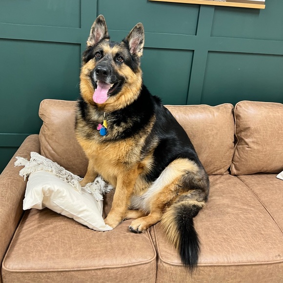 Meet your Posher, Deanna - Picture 8 of 16